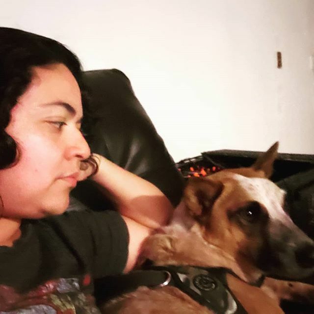itsAGI's tweet photo. Movie night with this stud
 #austdogs #dogsofinstagram #heelernation #acd_feature #australiancattledog #aussiedog #redheeler #acdheelergram #heelersofinstagram #acd #heeler #acdland #ruffpost #thestatelyhound #sendadogphoto #fitbark #pawpack #bestwoof #b… https://t.co/Ujfp73JggF https://t.co/eKgnmjKb83