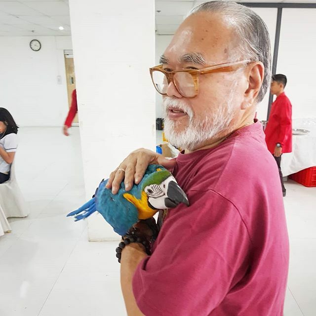 birdsofcebu's tweet photo. Another family moment with Iggy!

My granduncle: Go ku kong (Amah's fifth brother) started telling at first the usual Chinese belief that keeping birds will result to loss of money (all while we were having lunch in the 4th floor of the building lol). Then he approached Iggy… https://t.co/85NuxtOAwz