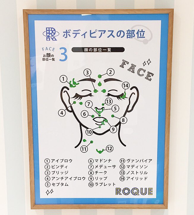 Roque 名古屋店 Auf Twitter 名古屋 栄 Roque ボディピアス ボディピ 部位 顔 特殊部位 ステンレス かっこいい ロキ Roque 可愛い