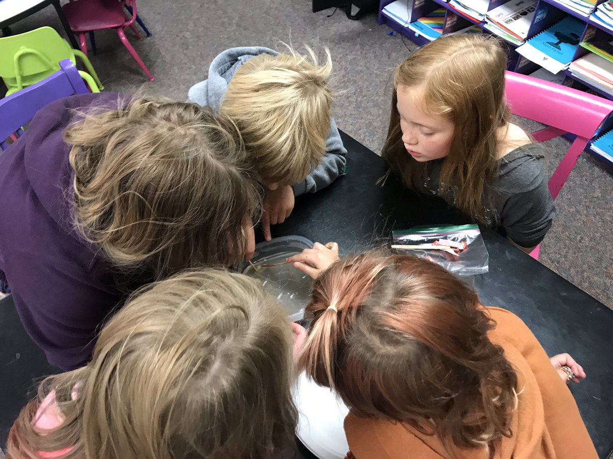 sam_bartlett12's tweet photo. Melting candy! We love mystery science! https://t.co/tX7QYZ3A9N
