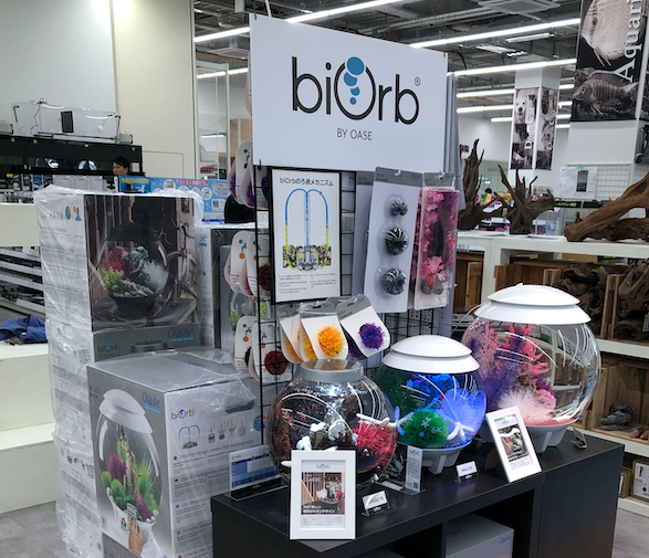 Twitter पर Biorb Japan Biorb Nicopet 久喜菖蒲店にbiorbのコーナーができました 8月にオープンしたばかりのnico Petさんの店舗内にアクエリアムを展示しております 住所 346 0106 埼玉県久喜市菖蒲町菖蒲7004 ホームセンタームサシ久喜菖蒲店内 営業 Twitter पर Biorb Japan Biorb Nicopet 久喜菖蒲店にbiorbのコーナーができました 8月にオープンしたばかりのnico Petさんの店舗内にアクエリアムを展示しております 住所 346 0106 埼玉県久喜市菖蒲町菖蒲7004 ホームセンタームサシ久喜菖蒲店内 営業