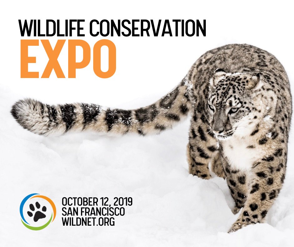 Join team #snowleopards at the #WCNExpo in San Francisco today to hear from #conservation heroes who dedicate their lives to protecting endangered species. Get your tickets to @wildnetorg’s Expo now: bit.ly/30j2ail