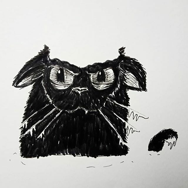 SeaboltIllo's tweet photo. #inktober2019 11/31 'Snow' Cats don't seem to like water in any form....
.
.
.
.
.
.
#inktober #luckythecat #adverseweatherconditions #inkdrawing #snow #sharingart https://t.co/QY7522BhZf