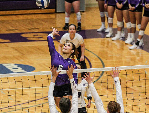TommieAthletics's tweet photo. Perfect 2-0 night for @Tommievball !! #RollToms https://t.co/l7vfq9G5Be
