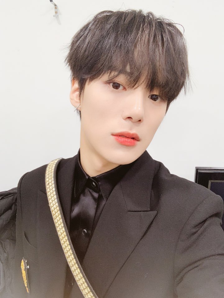 19ミニョク カップホルダー In Japan