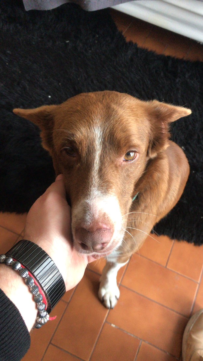 #festivalpaisprimavera mucha previa para las mejores peñas! A mucho baile! Saludos de Titán!!!