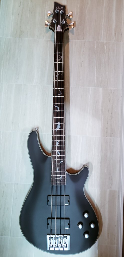 中身出した‼️コウモリ🦇のインレイ可愛い‼️ SCHECTER DAMIEN