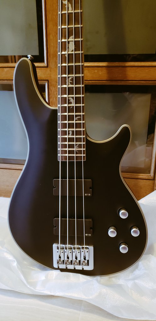 Schecter Damien-4 AD-DM-4 EMGhz コウモリインレイ 中身出した‼️コウモリ🦇のインレイ可愛い‼️ SCHECTER DAMIEN