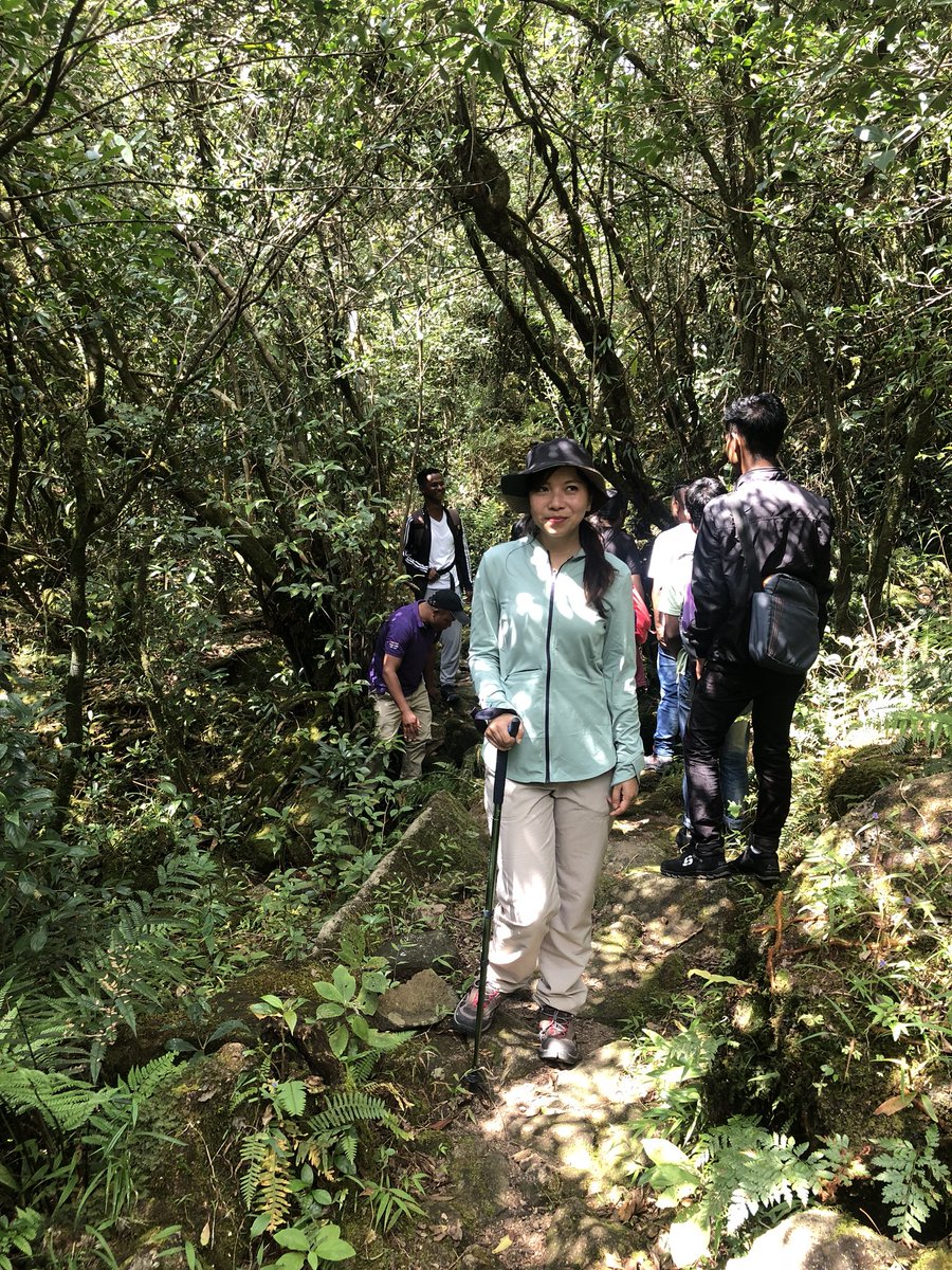 isawanda_laloo's tweet photo. All in a day’s trek
#mesmerisingmeghalaya #swkh https://t.co/Zpv874UZf8