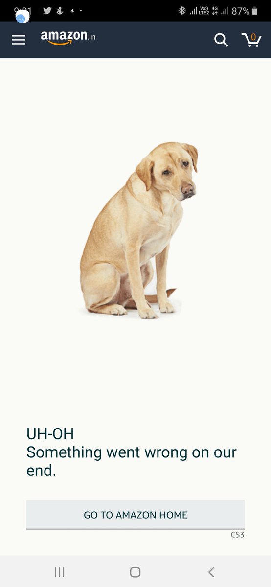 nk0952's tweet image. #amazonbug today when i have made an order i have faced very bad experience while doing payment. And after payment app opening iframe of its own.@amazonIN @amazon