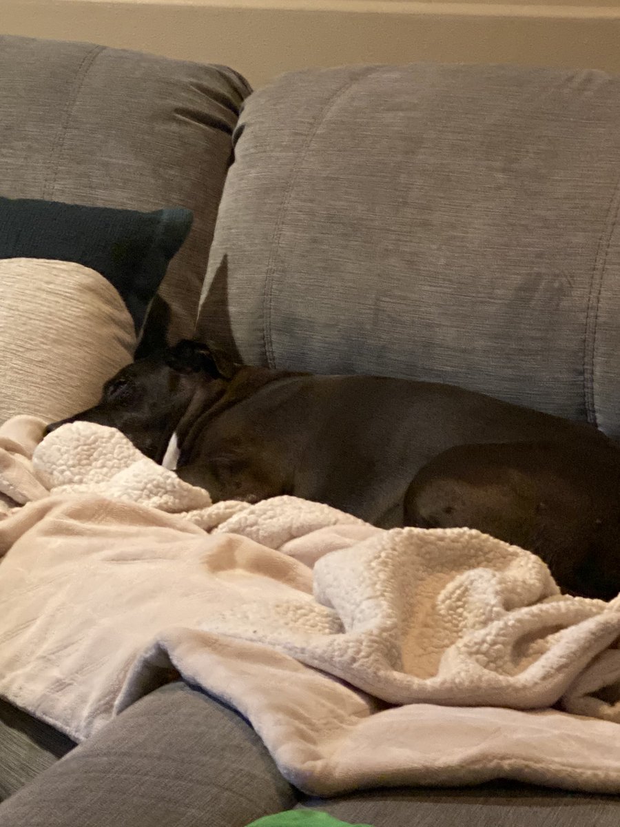 Daisy is very excited about the big win tonight!! #gosioux #Redemption #hang9 #16yrsold