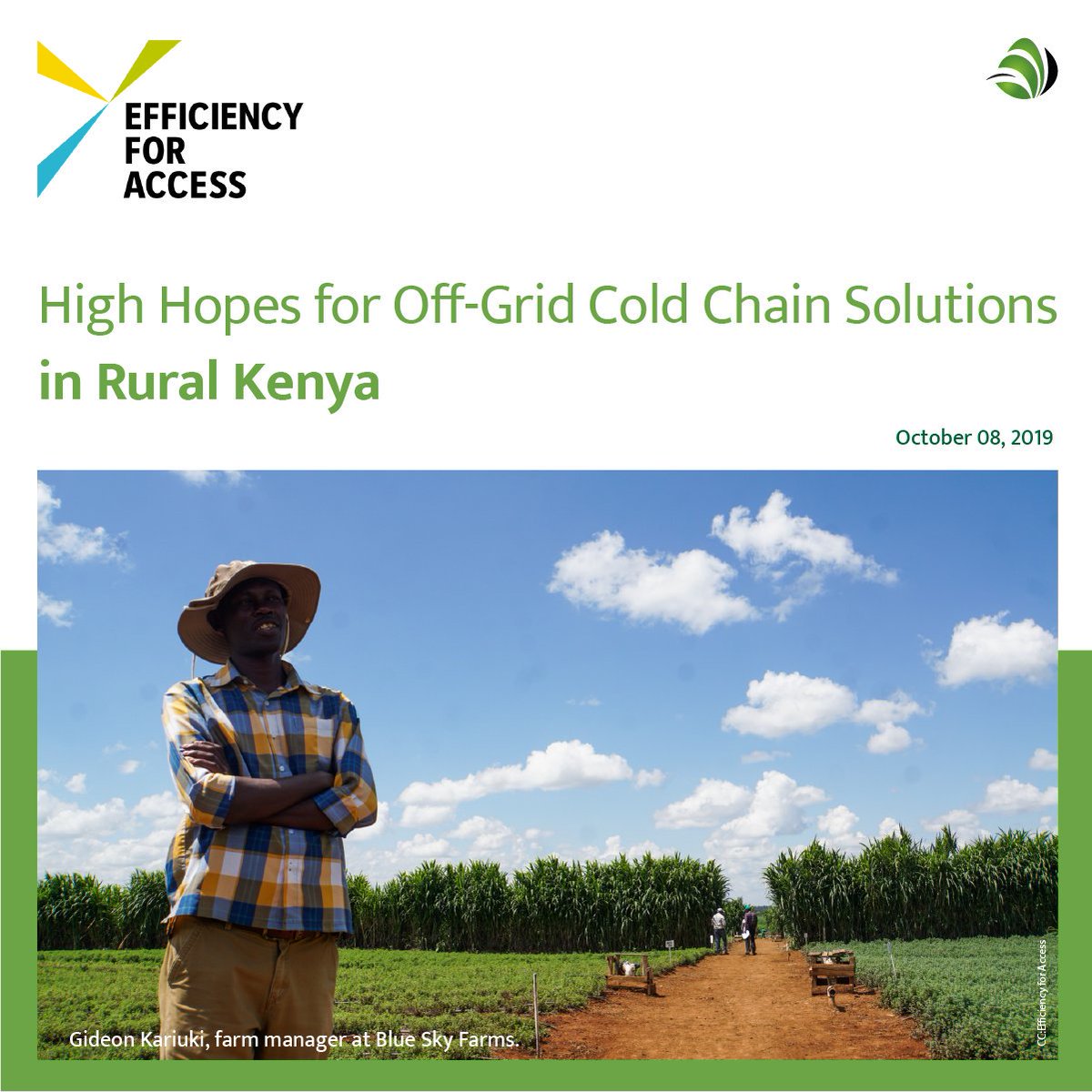 EcozenSolutions's tweet photo. "We heard good things about Ecofrost — developed for hot farming climates and a good fit for our environment” says Kariuki

#OGCCC #Kenya #Africa #SolarPower #ColdStorage #EfficiencyforAccess #EcofrostLink #Solarpowered #sustainableDevelopment #SolarColdRoom #SolarColdStorage https://t.co/BevM3Ws8Gf
