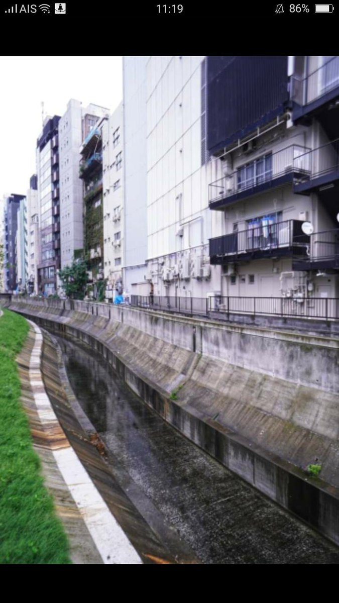 มัดหมี่อยากกินบะหมี่ tweet media