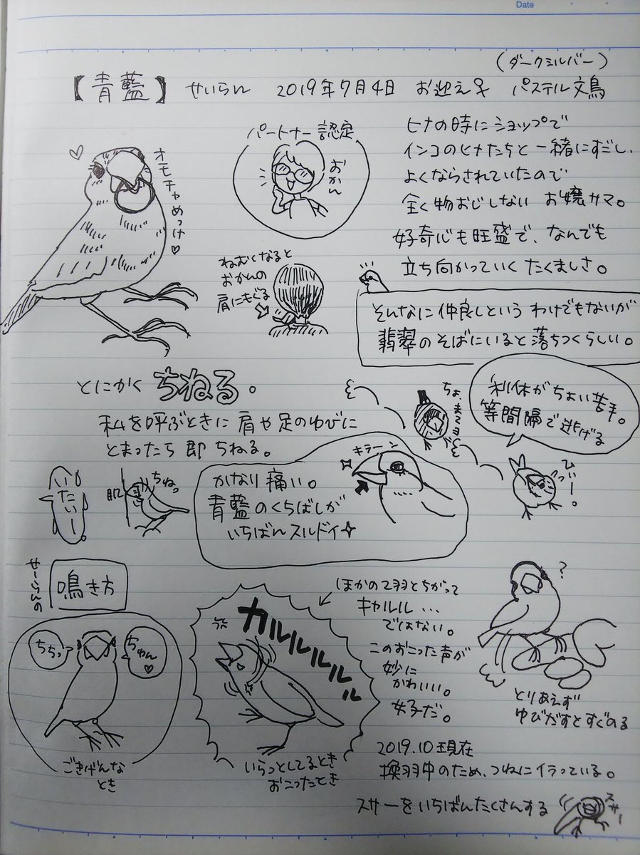 ノートの落書き
