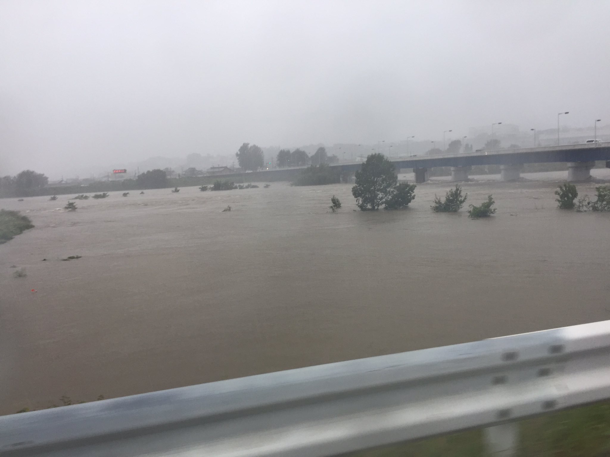 ワニの足 相模川 昭和橋 危険 水位 氾濫危険水位 T Co Ovwstv879q Twitter