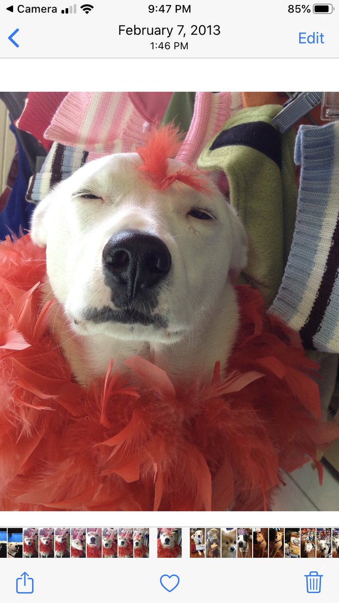 Bernal Beast tweet media