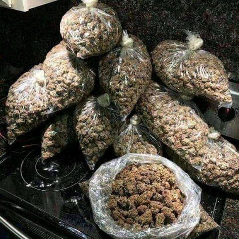 khakikush710's tweet photo. Happy weekend #stonernation ib for delivery fast and discreet overnight shipping https://t.co/yEs8PwVzwV
