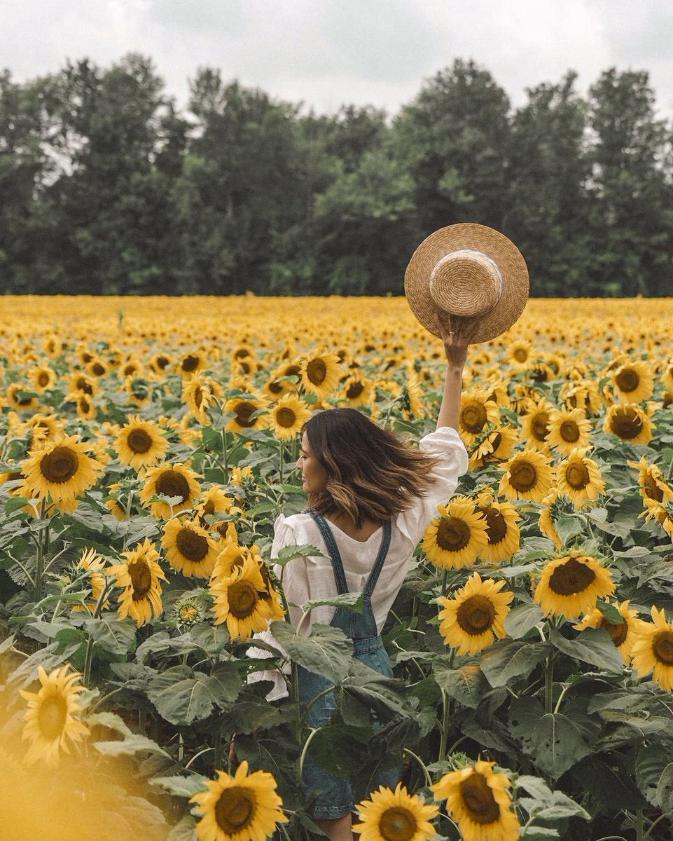 24-sunflower-field-photoshoot-ideas-and-creative-poses