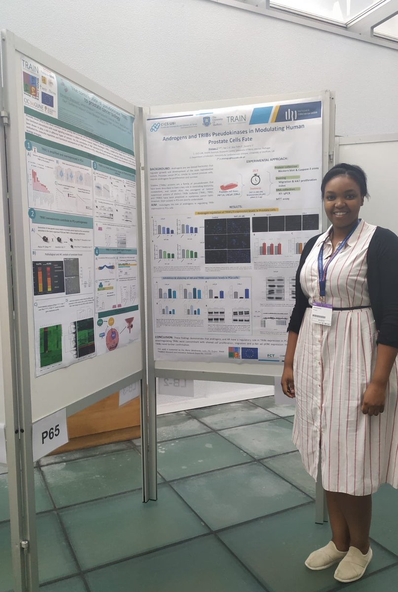 Laura MartínezCam tweet media