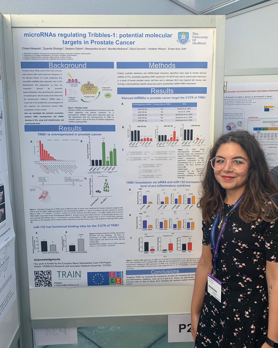 Laura MartínezCam tweet media