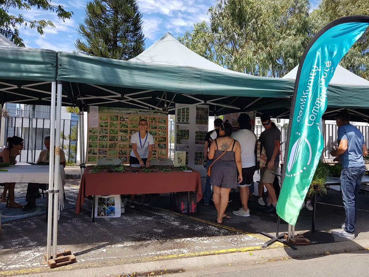 spc_live's tweet photo. Les calédoniens étaient nombreux aujourd'hui à se rendre sur le stand des #PlantesComestibles de division #SantéPublique de la CPS lors de la Fête des produits locaux à Nouméa 
Ils ont découvert les feuilles du #Pacifique avec 1 quiz &amp; sont repartis avec 1 livre de #recettes https://t.co/9cLUaSQoRA