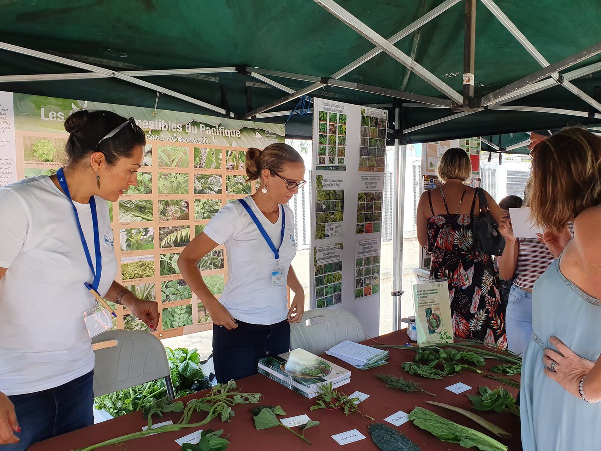 spc_live's tweet photo. Les calédoniens étaient nombreux aujourd'hui à se rendre sur le stand des #PlantesComestibles de division #SantéPublique de la CPS lors de la Fête des produits locaux à Nouméa 
Ils ont découvert les feuilles du #Pacifique avec 1 quiz &amp; sont repartis avec 1 livre de #recettes https://t.co/9cLUaSQoRA