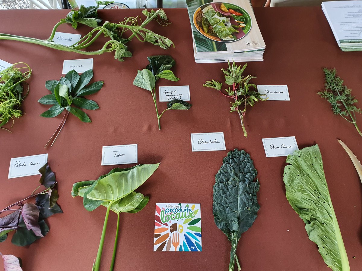 spc_live's tweet photo. Les calédoniens étaient nombreux aujourd'hui à se rendre sur le stand des #PlantesComestibles de division #SantéPublique de la CPS lors de la Fête des produits locaux à Nouméa 
Ils ont découvert les feuilles du #Pacifique avec 1 quiz &amp; sont repartis avec 1 livre de #recettes https://t.co/9cLUaSQoRA
