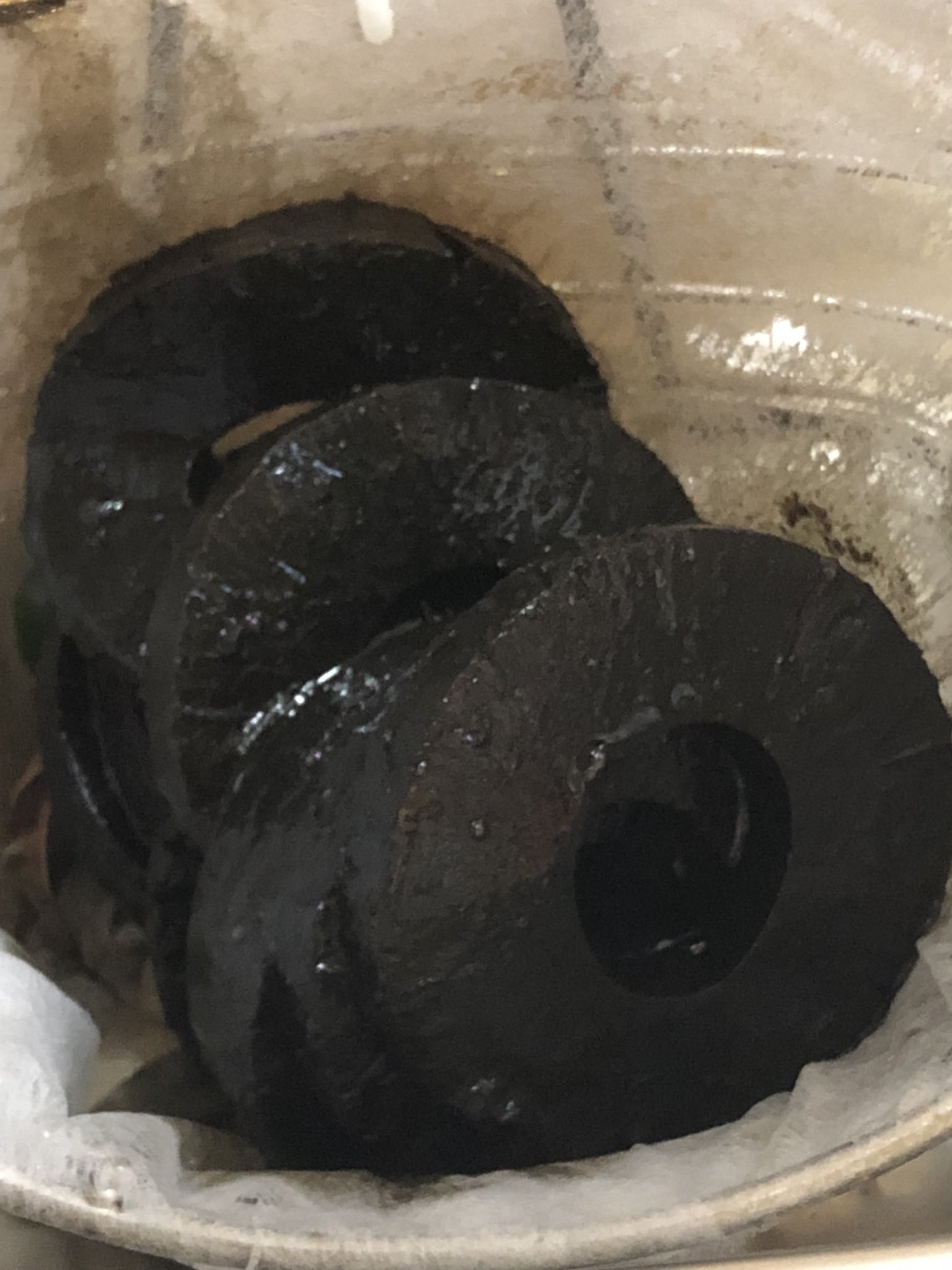 魔女のキキの仕業 缶詰のパイナップルがとんでもない姿に 話題の画像プラス