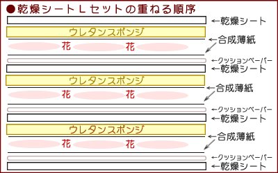 フラワーアート夢大陸 Zboegwuqoayrt9e Twitter フラワーアート夢大陸 Zboegwuqoayrt9e Twitter