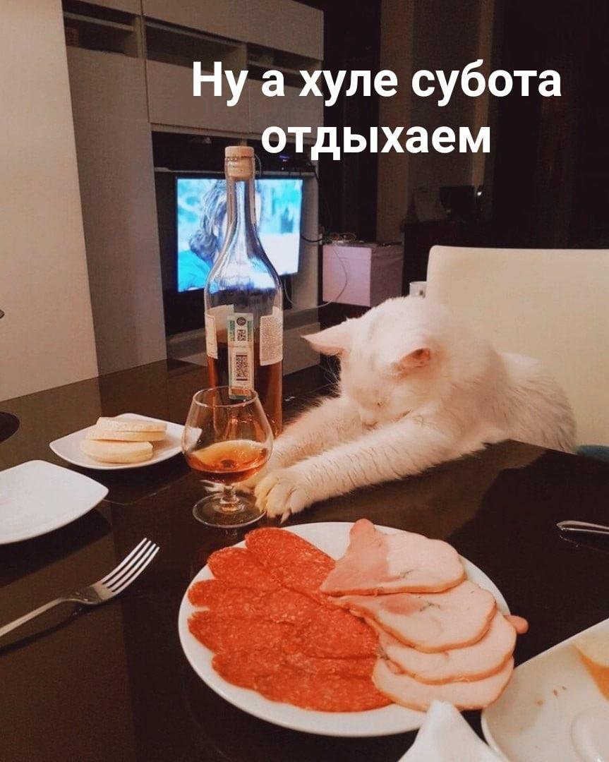 EGqMBPkWkAAFIFD?format=jpg&name=medium