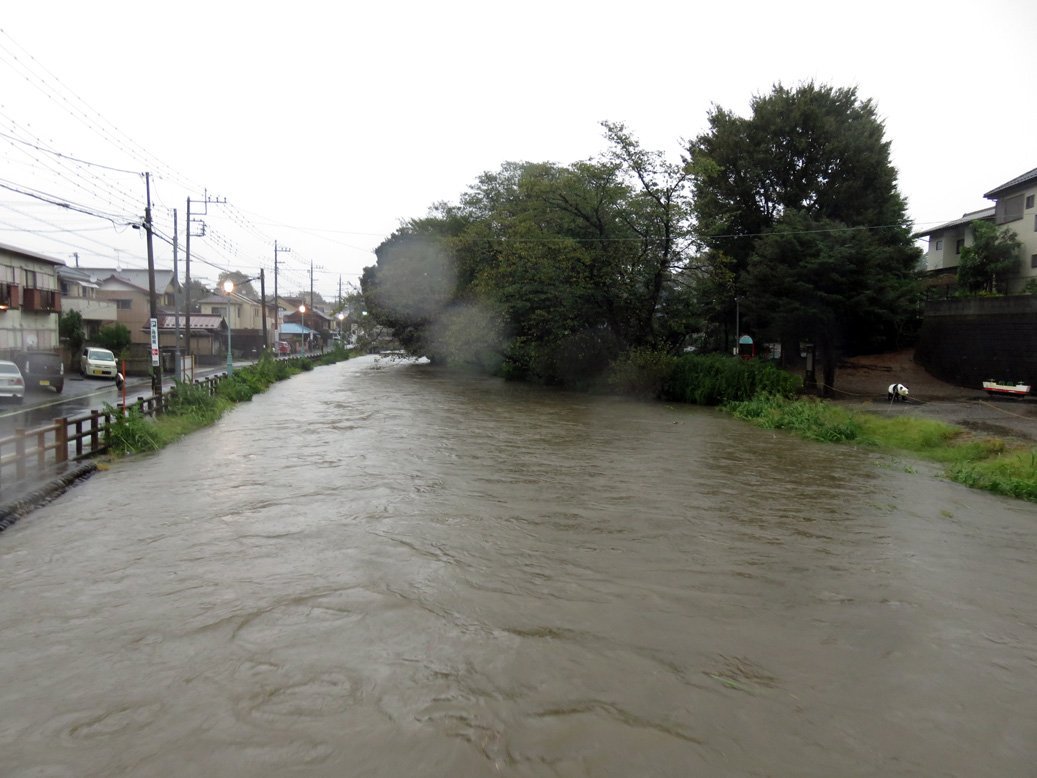 ひめあずさ まだ風も無く雨弱まったので見てきた やばいな あと25cm増えたらあふれる 新河岸川 ひめあずさ まだ風も無く雨弱まったので見てきた やばいな あと25cm増えたらあふれる 新河岸川
