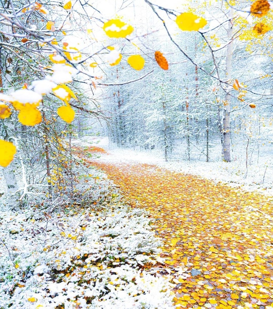 Песня согревайте скорей землю солнышка лучи. Зимние радости. Зимняя природа. Капель весной. Красивые пейзажи зимы.