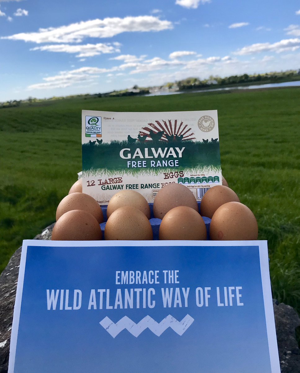 ciaransmith1958's tweet photo. @MarketsAlive @VelvetCloud_ie @ZwartblesIE @IrishFoodGuide @LeahyBkeeping @Mt_Briscoe @brid_h2g @seasugarsweets @buttercreamdub @biasasta @kilmullenfarm @SuperNaturalU #creatjobs Have a few Galway free range eggs as you shop local . https://t.co/nU9rIiLBAR