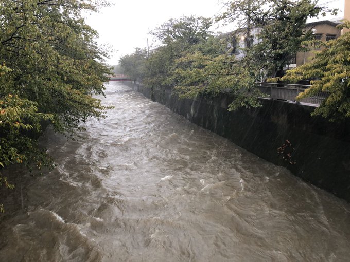 画像 石神井川が台風19号の影響で氾濫危険水位を超える 現地画像まとめ まとめダネ