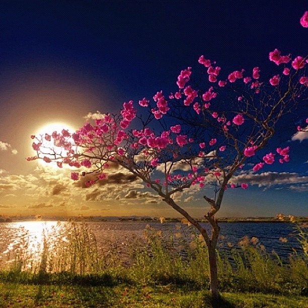 Good morning my Twitter friends world 💕
Happy weekend
