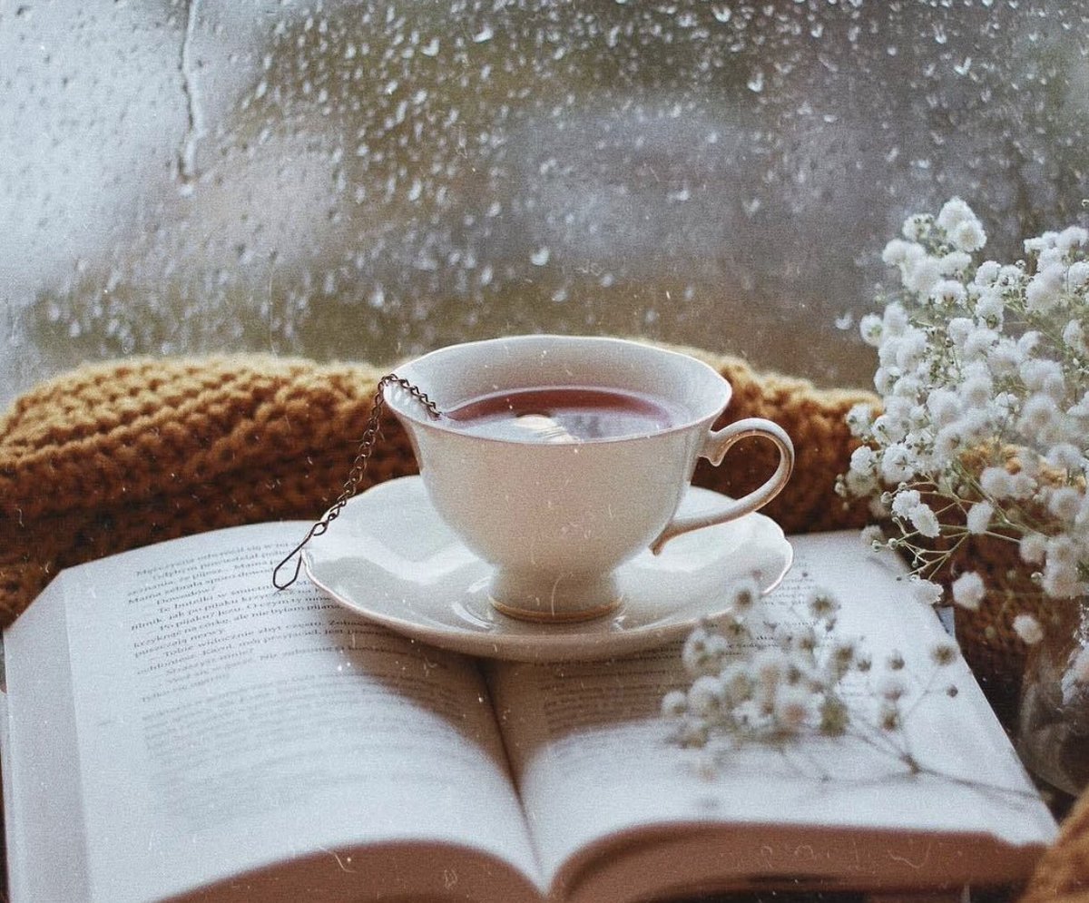 Lucy Hallett S Tweet Good Morning Wonderful Friends Twitter