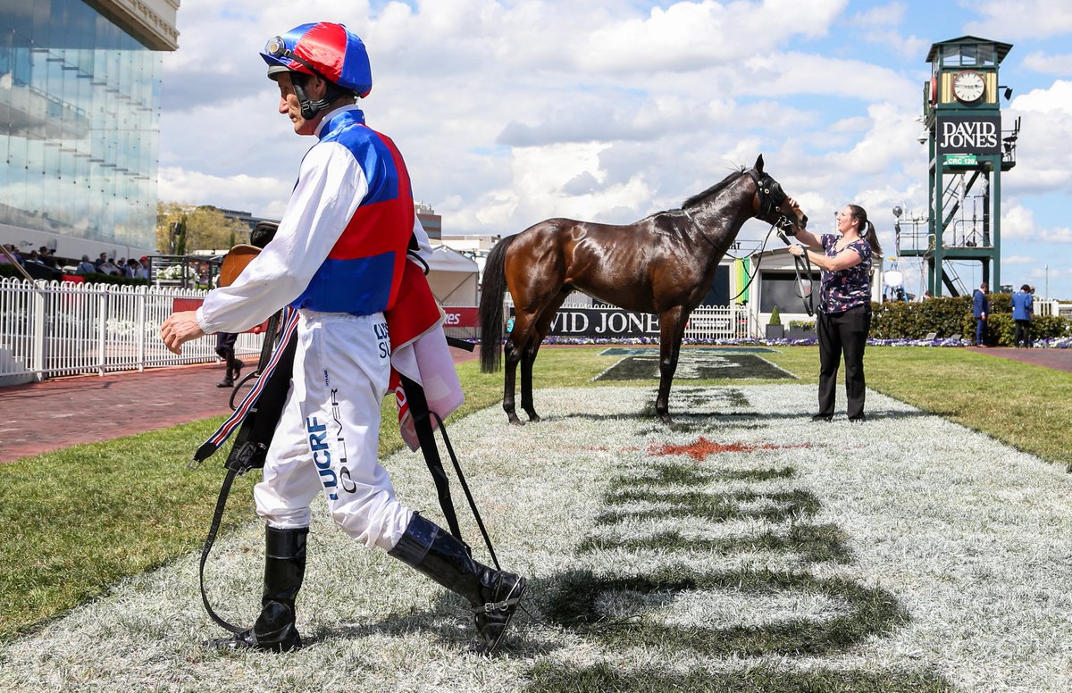 Damien Oliver walks past race winner The Chosen One, after his mount and race favourite Steel Prince was scratched at the barriers prior to the running of the Ladbrokes Herbert Power Stakes at Caulfield <a href="/Racing/">Racing.com</a>Insider <a href="/MelbRacingClub/">Melbourne Racing Club</a> @Racing