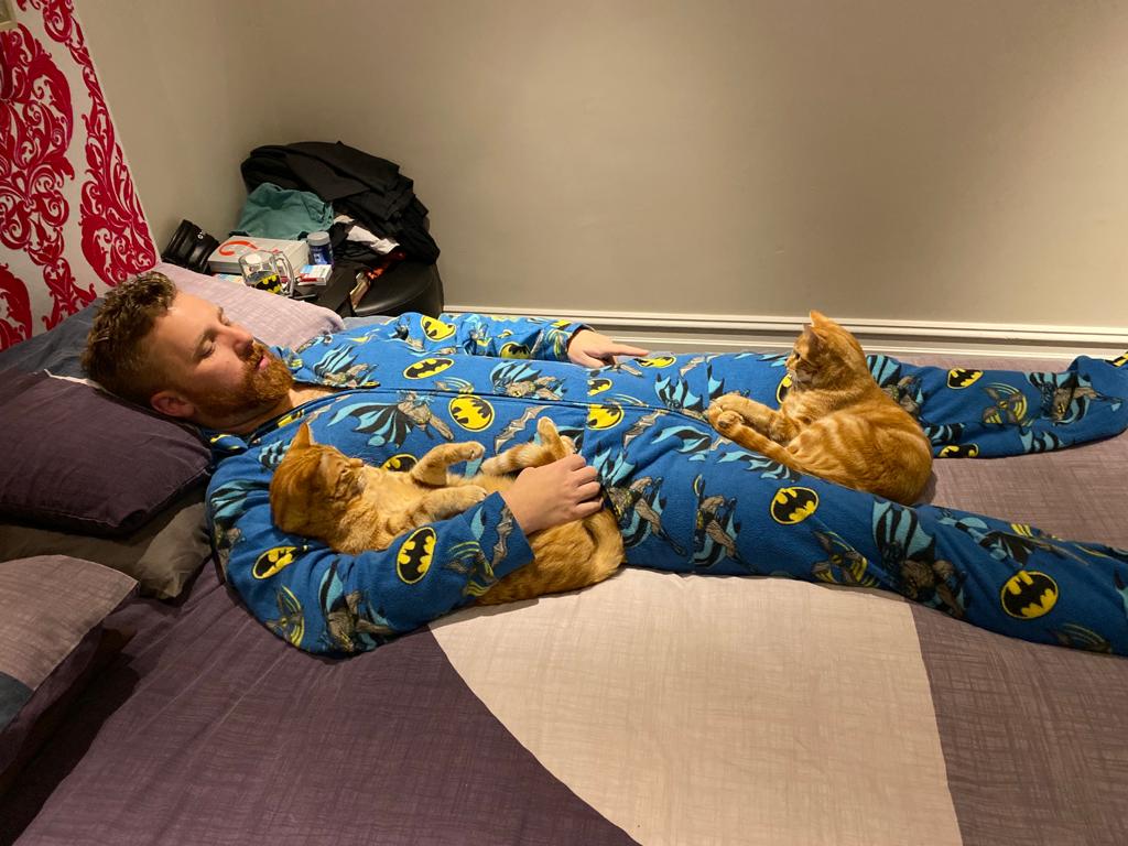 LittleAmbiguous's tweet image. At home at 7pm on a Saturday night with my cats, batman onesie on, pizza ordered and shows queued on Netflix. 

Living the DREAM