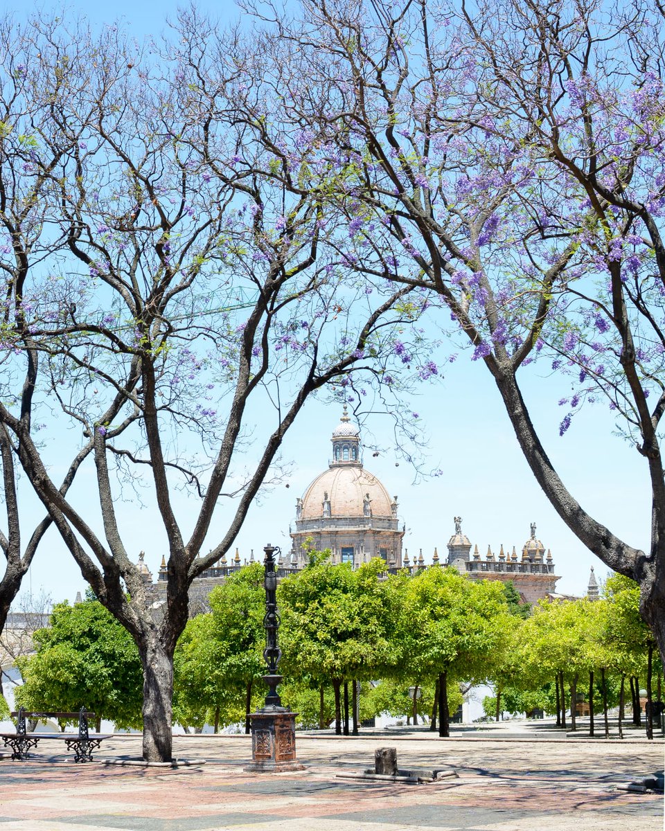 MarbellaClubH's tweet photo. ¡Qué bello país! 😍
4 reasons why we love Spain:
- The Spanish Cuisine
- The beautiful beaches.
- A lovely climate
- Impressive architecture and landscape diversity. 
- Friendly locals! 
and many more... !FELIZ DÍA DE LA HISPANIDAD! 🇪🇸 https://t.co/cMUauuEPna