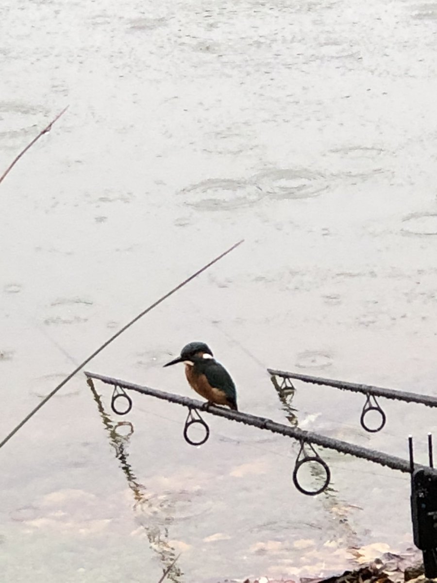 Look who paid me a visit this morning