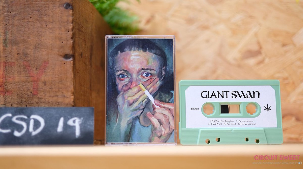 circuitsweet's tweet photo. NEW SHOP ADDITION •Delighted to welcome Giant Swan to our shelves for their special @cassetteday  release.

Bristolian electronic noise artists Giant Swan release their highly anticipated debut album, on their own label, KECK.

https://t.co/ok4etI5iFS

#cassettestoreday https://t.co/KoCZ9jSlhy