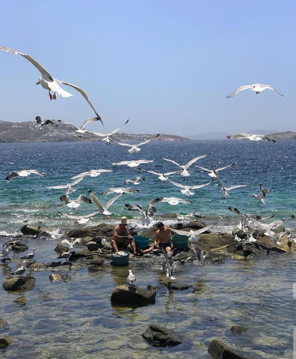 MartinZeng12's tweet image. During Oct. we would have a promote for students who need to make multilayer pcb of prototyping. 5pcs  samples would be in very low price. please let me know. #DIYpcb#Multilayer pcb#pcb fabrication from China. bit.ly/2IJXoDI
“ Learning the sea without a hardship”