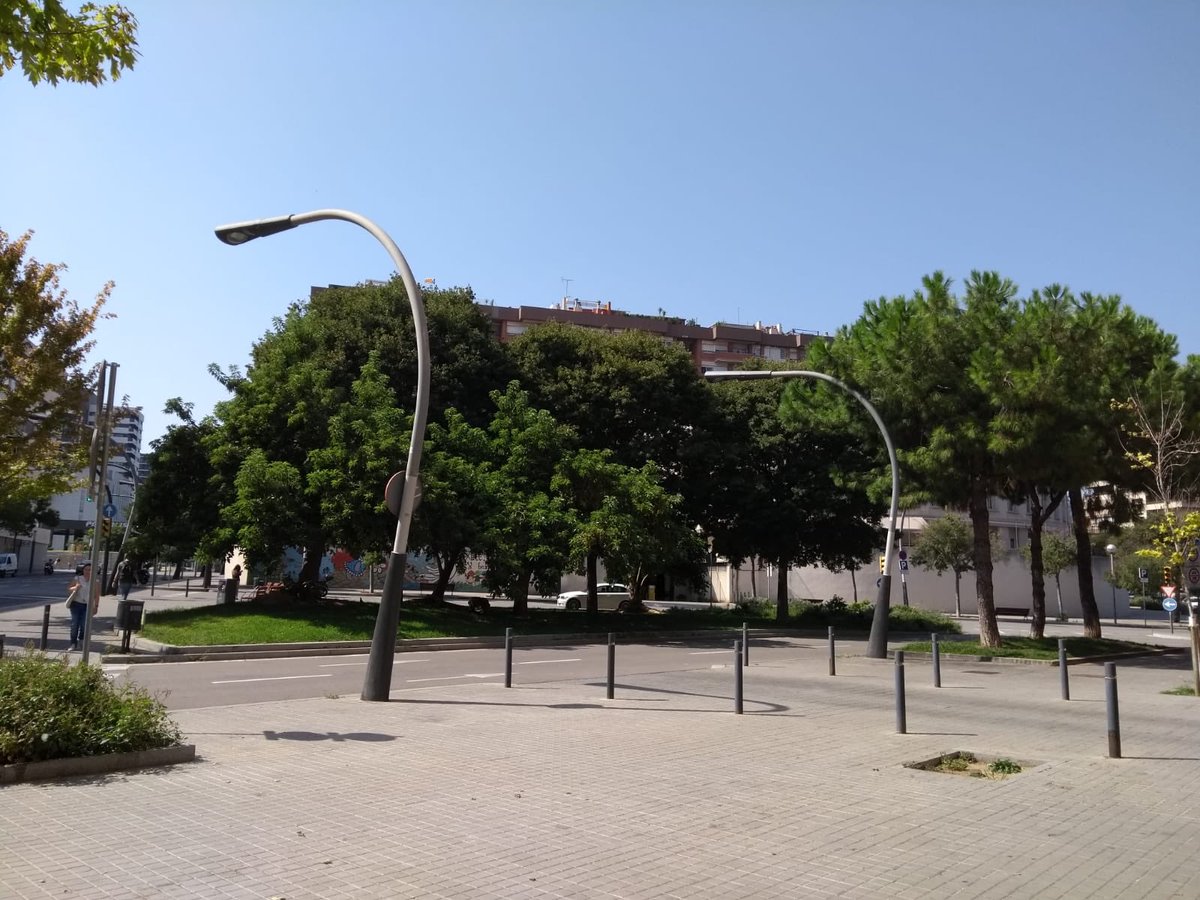 RMCspds's tweet image. 🆘@AdaColau #salvemlarbrat #lescorts @KRLS Volen tallar aquest Arbres per les obres del metro a #ernestlluch Segur que hi ha opcions! Recollida signatures aquest cap de setmana a Av Sant Ramon @ThisisCatRadio @diba @gallifantes @CNICatalunya @tsunami_dem I si fem 1 #picnic ⁉️⬇️