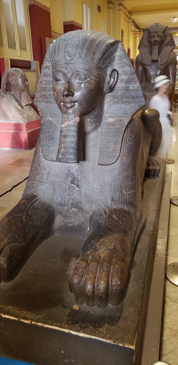 aroweTHD's tweet photo. Day 2 part 2 Cairo Museum and treasures of King Tut. We got to see the contents of Tut's tomb but could not take pictures of the treasure, there was a guy in the room watching and if he saw you he would take your phone/camera and delete it. #cairo #mummy #kingtut #nophotosallowed https://t.co/yJ2zPcxPw7