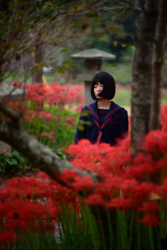 ももんが 彼岸花 セーラー服 Model 兎姫ちゃん 彼岸花 曼珠沙華 Redspiderlily 彼岸花ポートレート 彼岸花ポトレ ポートレート Portrait 制服ポトレ 制服ポートレート セーラー服ポトレ セーラー服 被写体募集 モデル募集 広島 岡山 ももんが 彼岸花 セーラー服 Model 兎姫ちゃん 彼岸花 曼珠沙華 Redspiderlily 彼岸花ポートレート 彼岸花ポトレ ポートレート Portrait 制服ポトレ 制服ポートレート セーラー服ポトレ セーラー服 被写体募集 モデル募集 広島 岡山