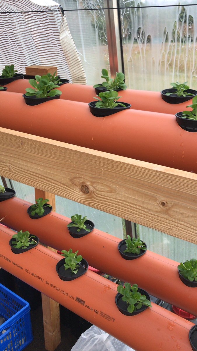 GrowBotHub's tweet image. Productive #gardening day to build our #dataset !