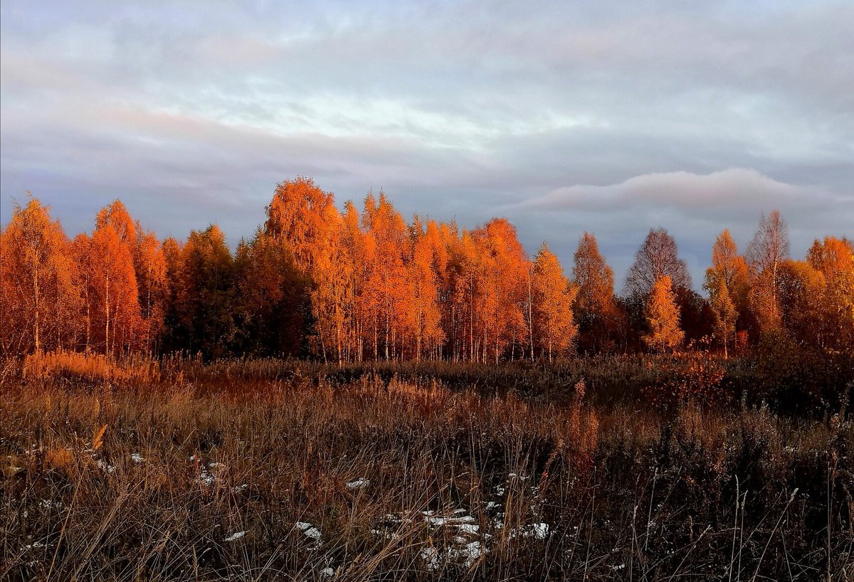 Krasoti_Rossii's tweet image. Карелия, д. Лахта. Предзакатное солнце. Октябрь.
#Красоты_России #КрасотыРоссии #Россия