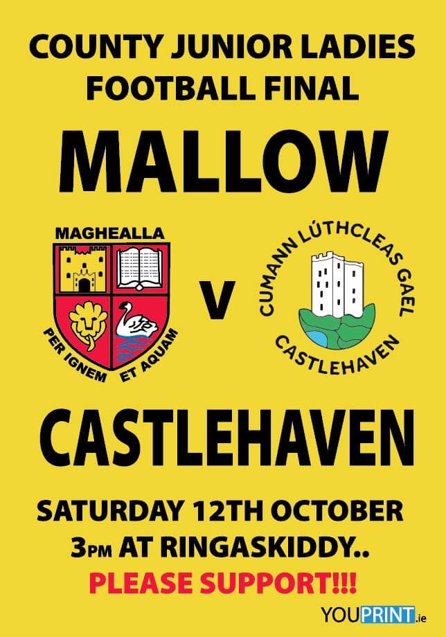COUNTY FINAL please support #❤️💛MAGHEALLA ABÚ <a href="/maureenspub/">Maureen's Pub</a> <a href="/carrigoon/">Mallow GAA</a>