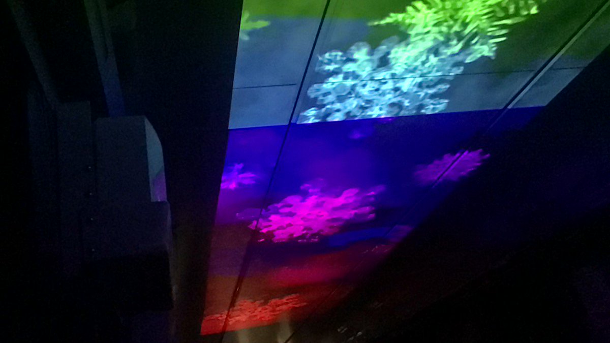 マガトロ卓也 シアタートレイン ゆめぞら号 の映像 自然 写真ではなぜか色がおかしくなっていますが 実際は正しく表示されています 北越急行 ほくほく線 ゆめぞら号 シアタートレイン ホックン