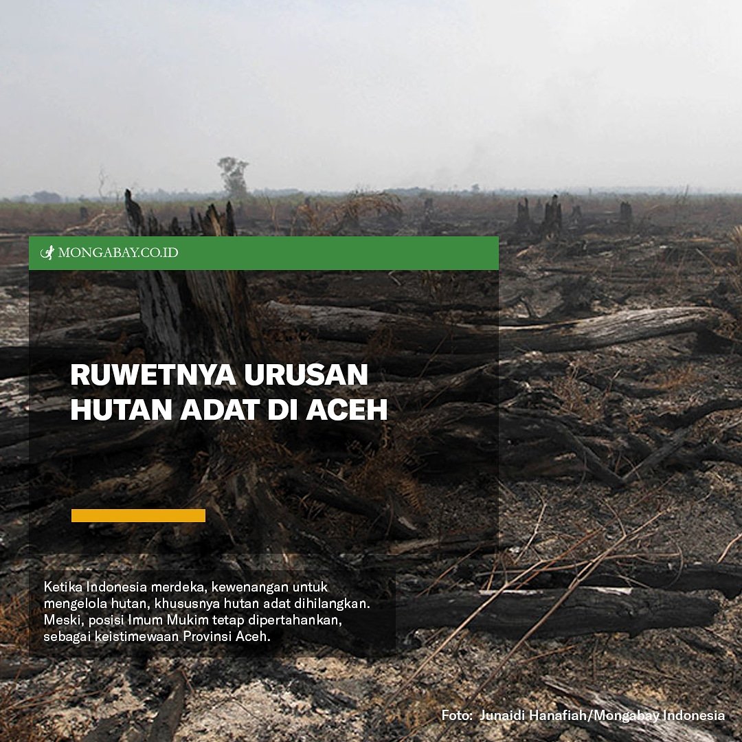 MongabayID's tweet image. Hutan adat Aceh, siapa yang mengelola? Baca berita selengkapnya di mongabay.co.id #aceh #hutan #hutanadat